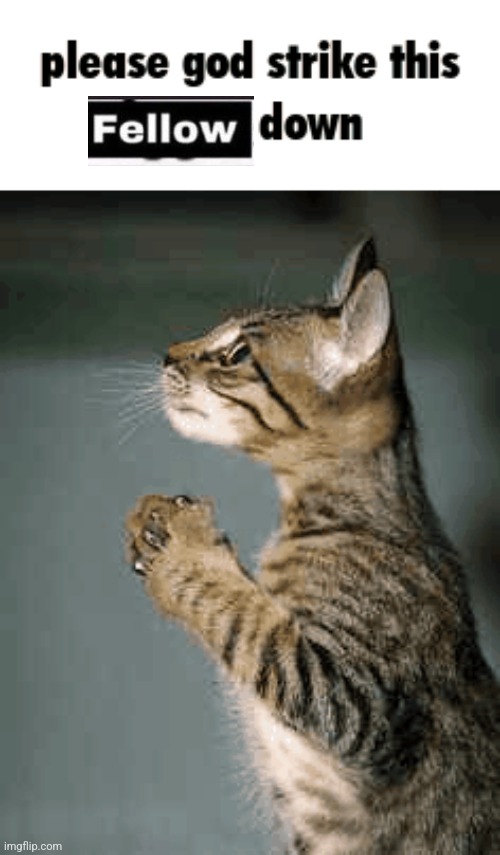 ☠️ | made w/ Imgflip meme maker