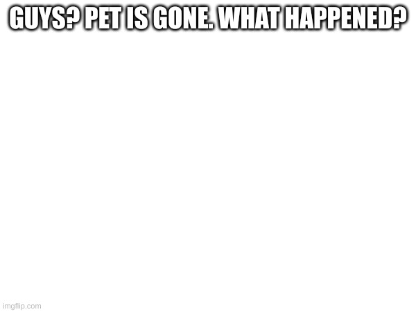 GUYS? PET IS GONE. WHAT HAPPENED? | made w/ Imgflip meme maker