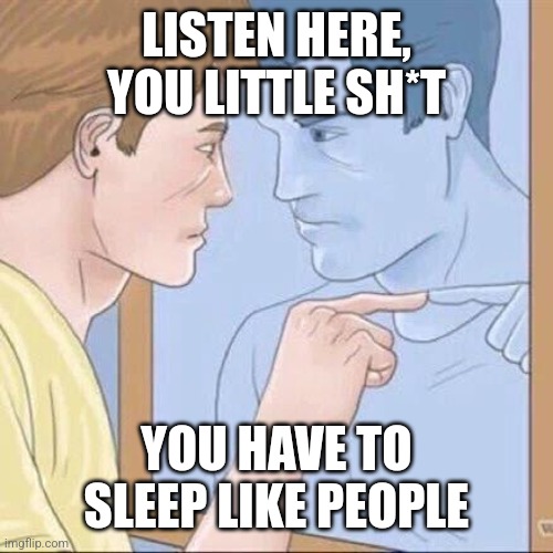 LISTEN HERE, YOU LITTLE SH*T YOU HAVE TO SLEEP LIKE PEOPLE | image tagged in pointing mirror guy | made w/ Imgflip meme maker