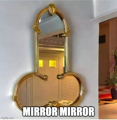 Mirror | MIRROR MIRROR | image tagged in sex jokes | made w/ Imgflip meme maker