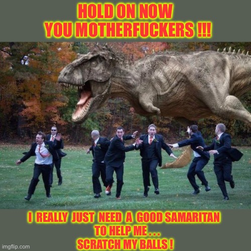 Please Come Back !!!  : ) | HOLD ON NOW
   YOU MOTHERFUCKERS !!! I  REALLY  JUST  NEED  A  GOOD SAMARITAN 
  TO HELP ME . . .
SCRATCH MY BALLS ! | image tagged in angry dinosaur | made w/ Imgflip meme maker