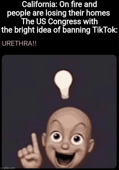 California: On fire and people are losing their homes 
The US Congress with the bright idea of banning TikTok: | image tagged in memes,shitpost,congress,oh wow are you actually reading these tags | made w/ Imgflip meme maker