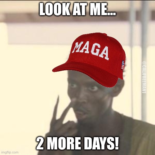 Look At Me | LOOK AT ME…; @CALJFREEMAN1; 2 MORE DAYS! | image tagged in memes,look at me,maga,donald trump,democrats,joe biden | made w/ Imgflip meme maker