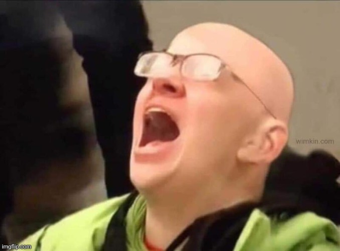 Bald screaming Wokester | image tagged in bald screaming wokester | made w/ Imgflip meme maker