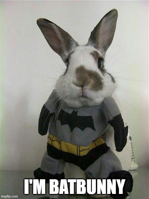 Batbunny | I'M BATBUNNY | image tagged in bunnies | made w/ Imgflip meme maker