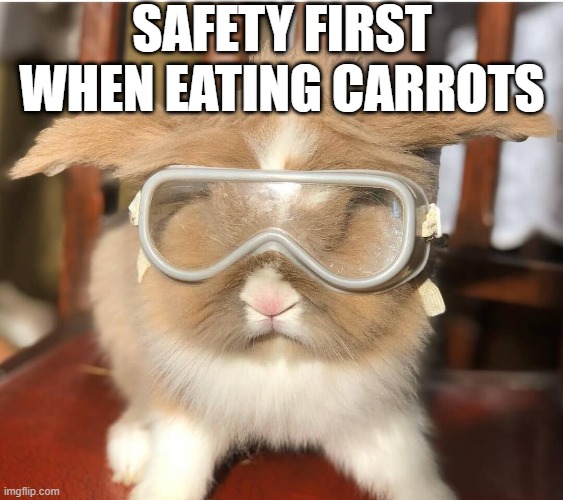 Bunny Goggles | SAFETY FIRST WHEN EATING CARROTS | image tagged in bunnies | made w/ Imgflip meme maker