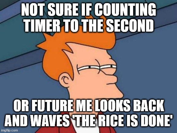 probably the former, unless future me is saying 'none if that crazy talk' | NOT SURE IF COUNTING TIMER TO THE SECOND; OR FUTURE ME LOOKS BACK AND WAVES 'THE RICE IS DONE' | image tagged in memes,futurama fry | made w/ Imgflip meme maker