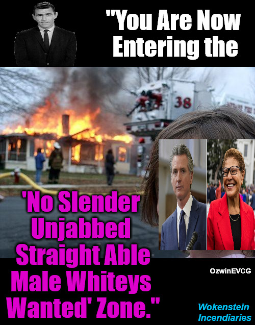 Wokenstein Incendiaries | "You Are Now 

Entering the; 'No Slender 

Unjabbed 

Straight Able

Male Whiteys 

Wanted' Zone."; OzwinEVCG; Wokenstein 

Incendiaries | image tagged in disaster girl,woke,antiwhite,liberal logic,clown world,politicians suck | made w/ Imgflip meme maker