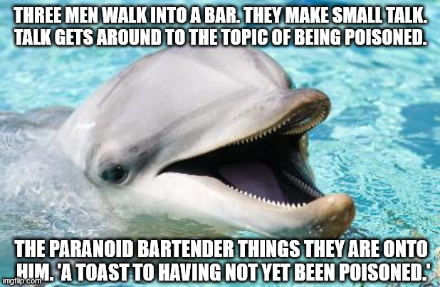 ::: | THREE MEN WALK INTO A BAR. THEY MAKE SMALL TALK.
TALK GETS AROUND TO THE TOPIC OF BEING POISONED. THE PARANOID BARTENDER THINGS THEY ARE ONTO 
HIM. 'A TOAST TO HAVING NOT YET BEEN POISONED.' | image tagged in dumb joke dolphin | made w/ Imgflip meme maker