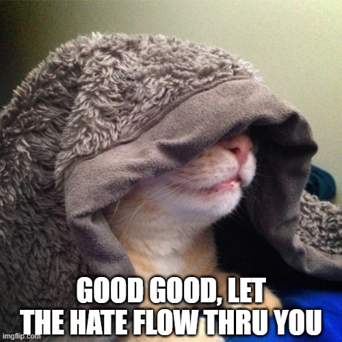 Emperor Catatine | GOOD GOOD, LET THE HATE FLOW THRU YOU | image tagged in cats | made w/ Imgflip meme maker