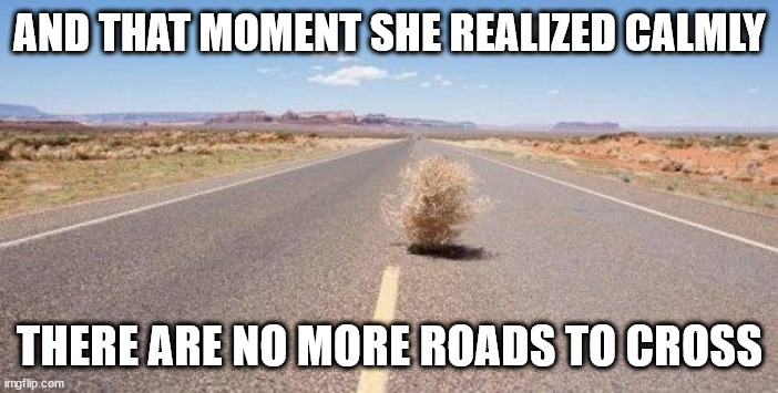 ¦¦¦ | AND THAT MOMENT SHE REALIZED CALMLY; THERE ARE NO MORE ROADS TO CROSS | image tagged in tumbleweed | made w/ Imgflip meme maker