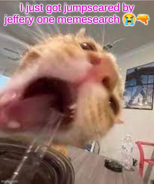 Silly | I just got jumpscared by jeffery one memesearch 😭🔫 | image tagged in silly | made w/ Imgflip meme maker