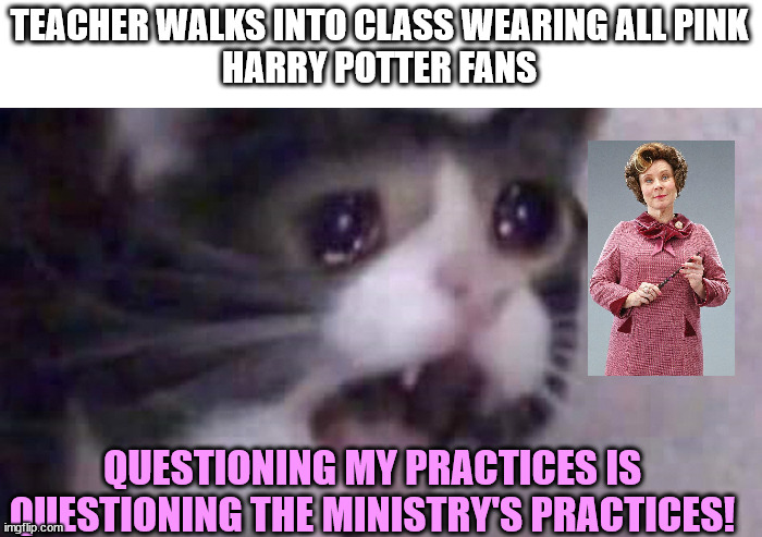 screaming cat | TEACHER WALKS INTO CLASS WEARING ALL PINK
HARRY POTTER FANS; QUESTIONING MY PRACTICES IS QUESTIONING THE MINISTRY'S PRACTICES! | image tagged in screaming cat | made w/ Imgflip meme maker