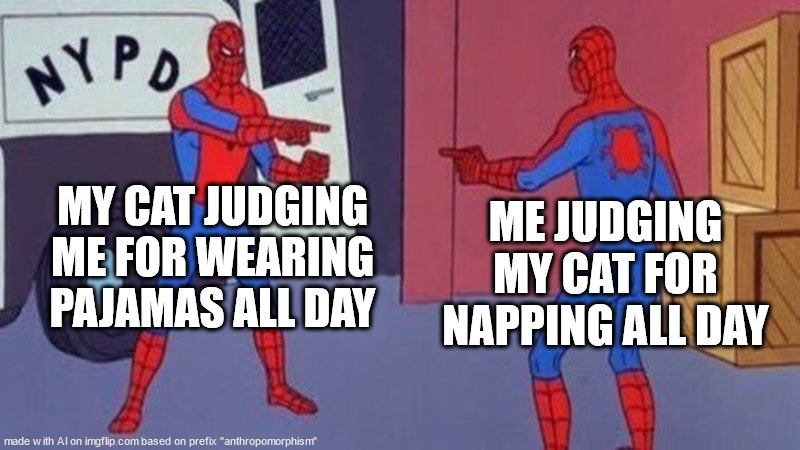 ¦¦¦ | MY CAT JUDGING ME FOR WEARING PAJAMAS ALL DAY; ME JUDGING MY CAT FOR NAPPING ALL DAY | image tagged in spiderman pointing at spiderman | made w/ Imgflip meme maker