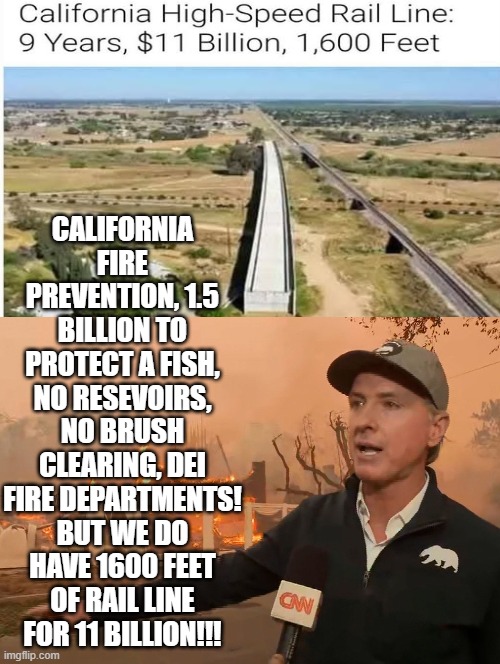 No fire prevention, but hey we have a 1600 feet 11 billion dollar rail line! | CALIFORNIA FIRE PREVENTION, 1.5 BILLION TO PROTECT A FISH, NO RESEVOIRS, NO BRUSH CLEARING, DEI FIRE DEPARTMENTS! BUT WE DO HAVE 1600 FEET OF RAIL LINE FOR 11 BILLION!!! | image tagged in hey wait stop i have garbage,sam elliott special kind of stupid | made w/ Imgflip meme maker