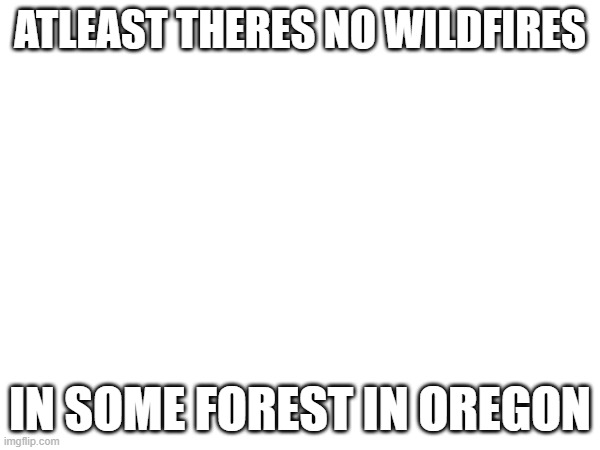 i hope not | ATLEAST THERES NO WILDFIRES; IN SOME FOREST IN OREGON | image tagged in wildfire,oregon | made w/ Imgflip meme maker