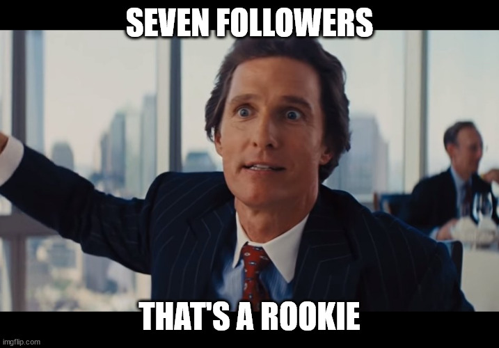 anything except seven | SEVEN FOLLOWERS; THAT'S A ROOKIE | image tagged in those are rookie numbers | made w/ Imgflip meme maker