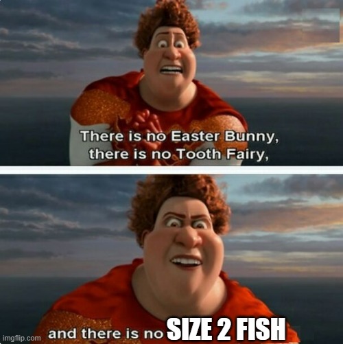 "Fixed a bug that caused Size 2 fish to be uncatchable" | SIZE 2 FISH | image tagged in tighten megamind there is no easter bunny,ultrakill | made w/ Imgflip meme maker