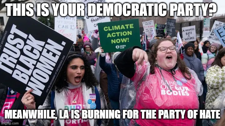 This is Your Democratic Party? | THIS IS YOUR DEMOCRATIC PARTY? MEANWHILE, LA IS BURNING FOR THE PARTY OF HATE | image tagged in this is your democratic party | made w/ Imgflip meme maker