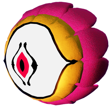 Carnation Blank Meme Template