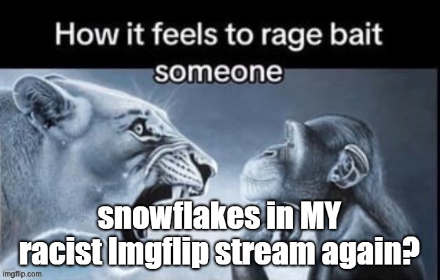 rela | snowflakes in MY racist Imgflip stream again? | image tagged in rela | made w/ Imgflip meme maker