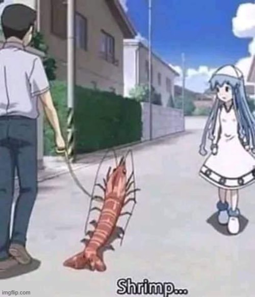 it's as shrimple as that | made w/ Imgflip meme maker