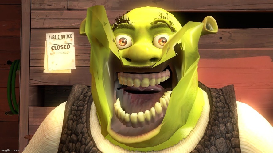 Shrek.mp3 | image tagged in shrek | made w/ Imgflip meme maker