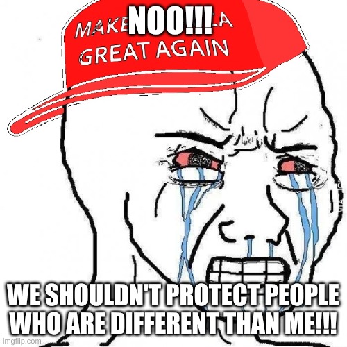 Crying wojak maga | NOO!!! WE SHOULDN'T PROTECT PEOPLE WHO ARE DIFFERENT THAN ME!!! | image tagged in crying wojak maga | made w/ Imgflip meme maker