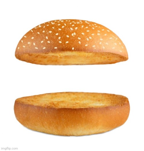 Nothing Burger | image tagged in nothing burger | made w/ Imgflip meme maker