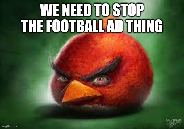 Realistic Red Angry Birds | WE NEED TO STOP THE FOOTBALL AD THING | image tagged in realistic red angry birds | made w/ Imgflip meme maker