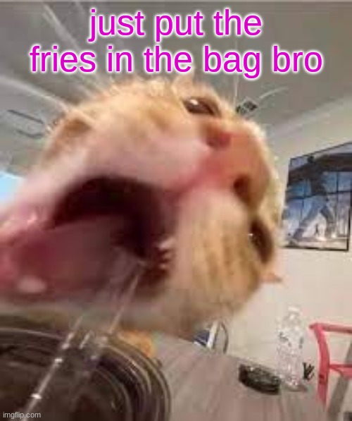 Silly | just put the fries in the bag bro | image tagged in silly | made w/ Imgflip meme maker