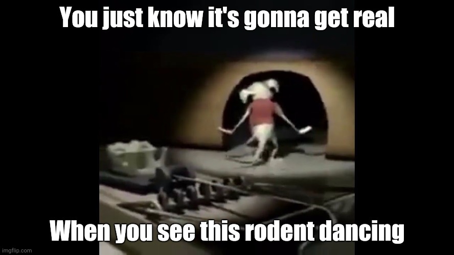 The Prophecy is True | You just know it's gonna get real; When you see this rodent dancing | image tagged in raymond the mouse dancing | made w/ Imgflip meme maker