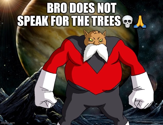 Bro is NOT the Lorax | BRO DOES NOT SPEAK FOR THE TREES💀🙏 | image tagged in toppo,the lorax,dbz,dbs,anime,stop reading the tags | made w/ Imgflip meme maker