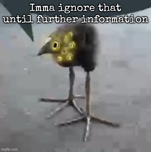posts i made earlier | Imma ignore that until further information | image tagged in lobotomy corporation bird | made w/ Imgflip meme maker