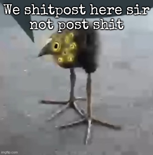 Lobotomy Corporation Bird | We shitpost here sir
not post shit | image tagged in lobotomy corporation bird | made w/ Imgflip meme maker