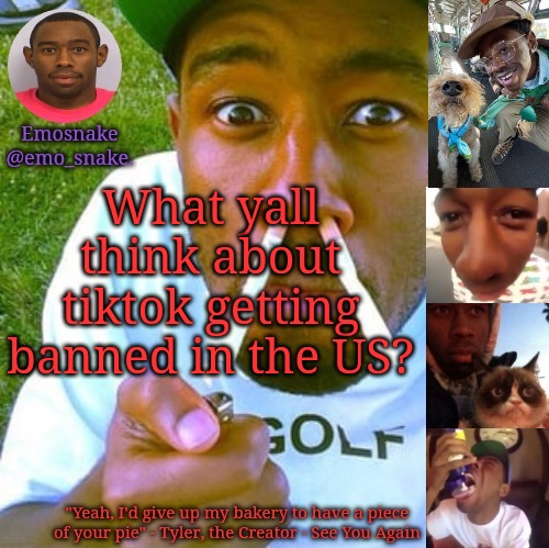 Emosnake's Tyler the Creator temp | What yall think about tiktok getting banned in the US? | image tagged in emosnake's tyler the creator temp | made w/ Imgflip meme maker