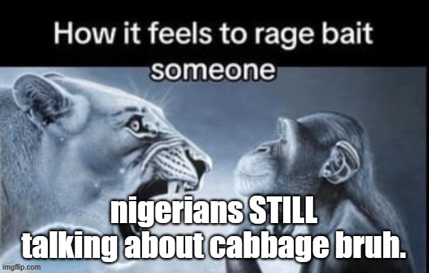 rela | nigerians STILL talking about cabbage bruh. | image tagged in rela | made w/ Imgflip meme maker