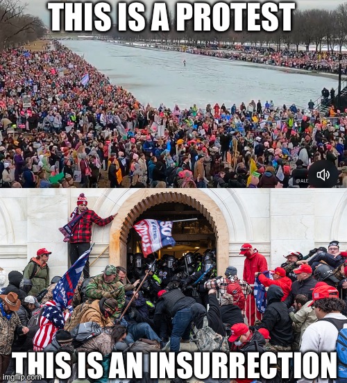 See the difference?? | THIS IS A PROTEST; THIS IS AN INSURRECTION | image tagged in trump cult insurrection riot,protest,coup | made w/ Imgflip meme maker