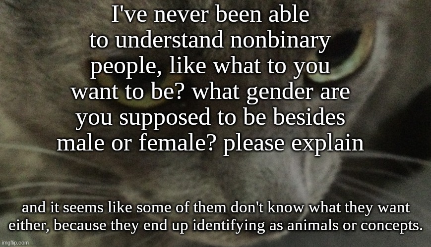 I genuinely want to know | I've never been able to understand nonbinary people, like what to you want to be? what gender are you supposed to be besides male or female? please explain; and it seems like some of them don't know what they want either, because they end up identifying as animals or concepts. | image tagged in sweetie | made w/ Imgflip meme maker