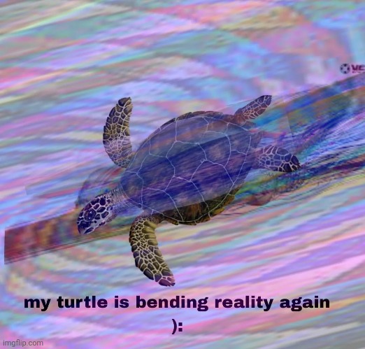 not again | made w/ Imgflip meme maker