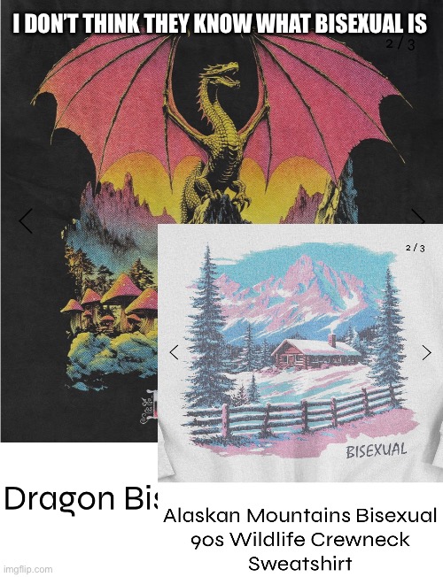 I DON’T THINK THEY KNOW WHAT BISEXUAL IS | made w/ Imgflip meme maker