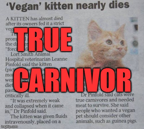 True predator | TRUE CARNIVOR | image tagged in obligate carnivor,mandatory meat | made w/ Imgflip meme maker