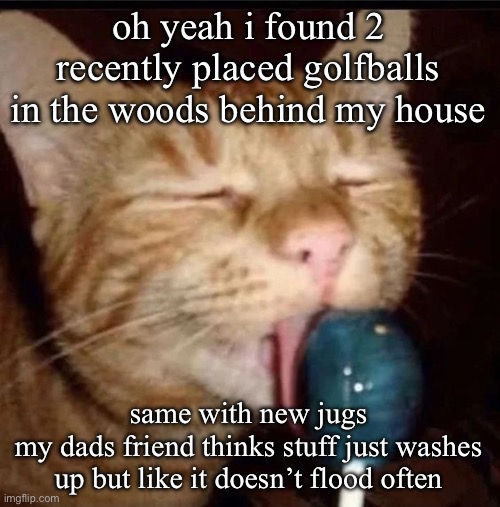 silly goober 2 | oh yeah i found 2 recently placed golfballs in the woods behind my house; same with new jugs
my dads friend thinks stuff just washes up but like it doesn’t flood often | image tagged in silly goober 2 | made w/ Imgflip meme maker