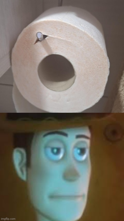 Toilet paper placed like that | image tagged in disappointed woody,toilet paper,you had one job,memes,toilet papers,placement | made w/ Imgflip meme maker