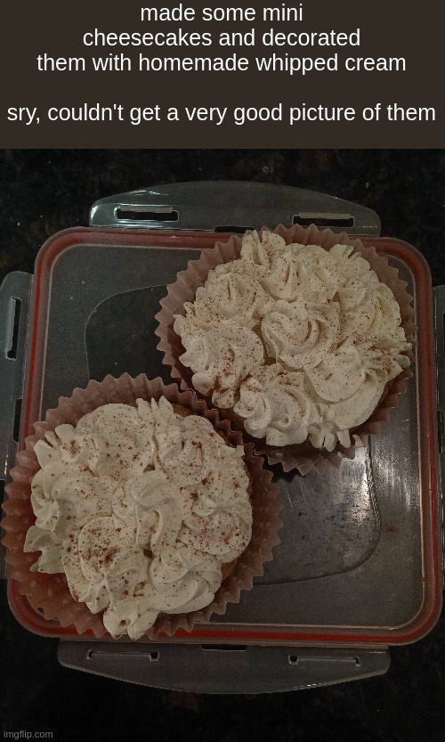 made some mini cheesecakes and decorated them with homemade whipped cream
 
sry, couldn't get a very good picture of them | made w/ Imgflip meme maker