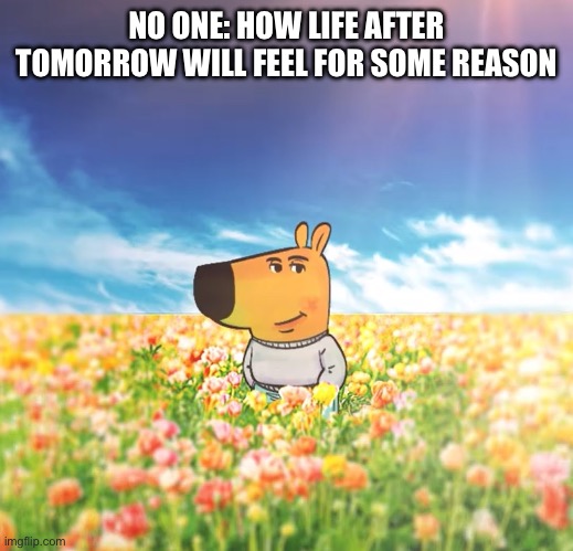 No more brain rot | NO ONE: HOW LIFE AFTER TOMORROW WILL FEEL FOR SOME REASON | image tagged in chill guy 5000 nature | made w/ Imgflip meme maker