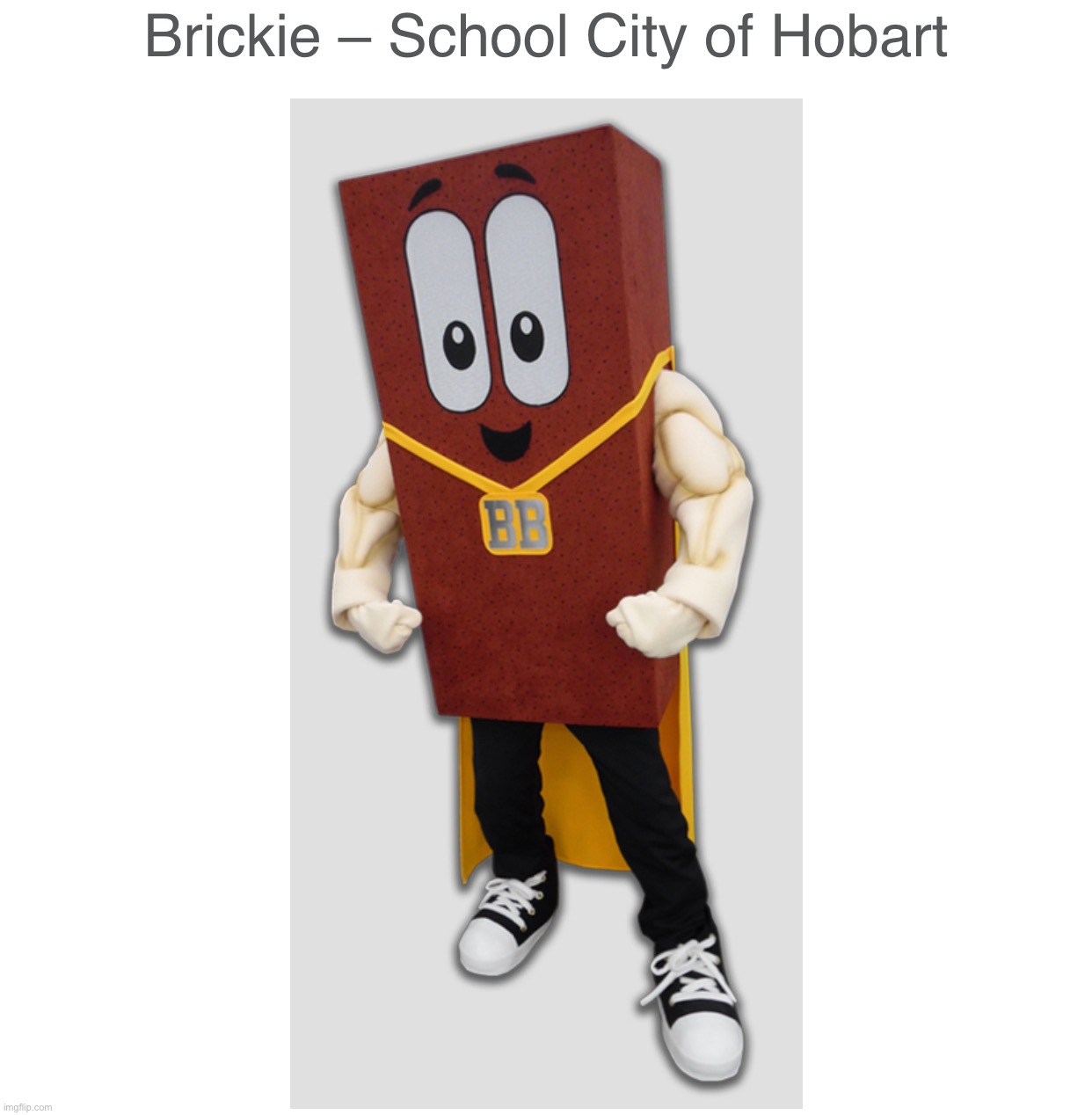 What have they done to bricky bro | made w/ Imgflip meme maker