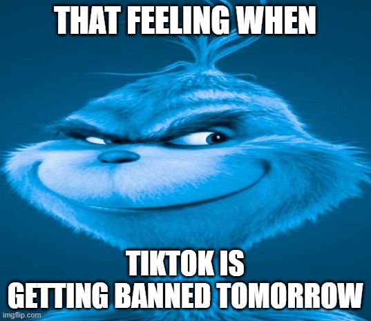 i don't even use it | THAT FEELING WHEN; TIKTOK IS GETTING BANNED TOMORROW | image tagged in blue grinch,tiktok ban | made w/ Imgflip meme maker