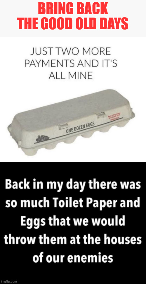 The good old days | BRING BACK THE GOOD OLD DAYS | image tagged in memes,eggs,toilet paper | made w/ Imgflip meme maker