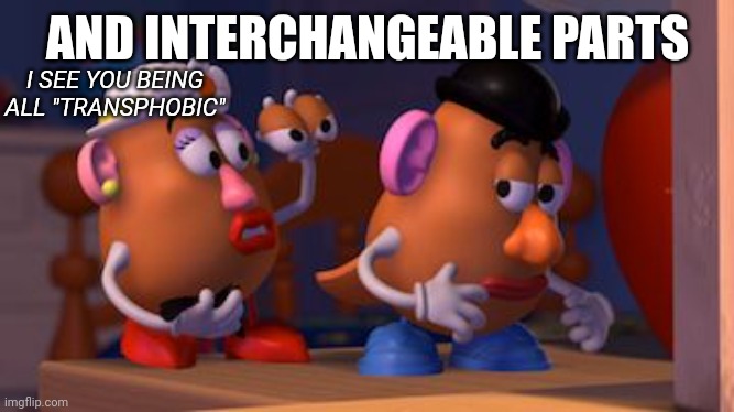 Mrs. Potato Head | AND INTERCHANGEABLE PARTS I SEE YOU BEING ALL "TRANSPHOBIC" | image tagged in mrs potato head | made w/ Imgflip meme maker